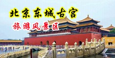 欧美大鸡吧插b中国北京-东城古宫旅游风景区